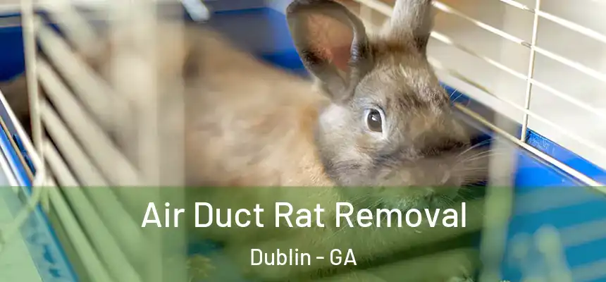 Air Duct Rat Removal Dublin - GA