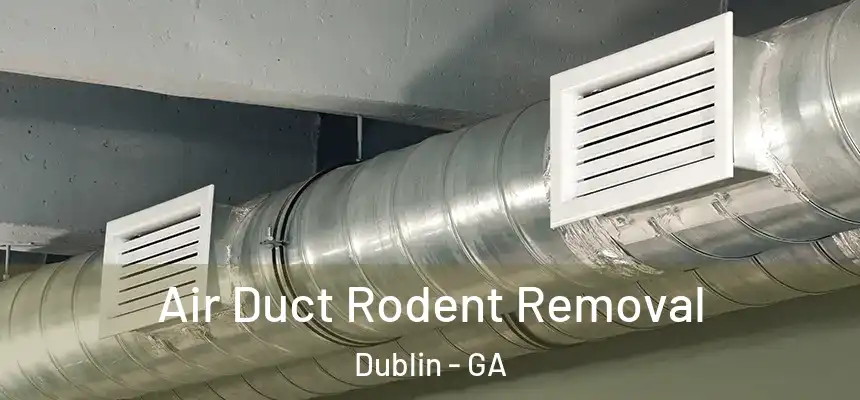  Air Duct Rodent Removal Dublin - GA