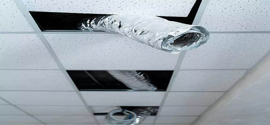 Our Air Duct Pet Hair Removal Services in Dublin, GA