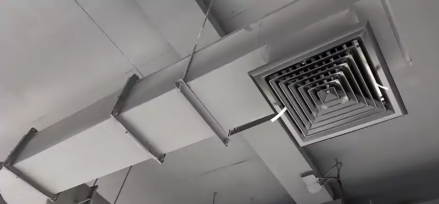 Our Pest Removal From Ducts Services in Dublin, GA