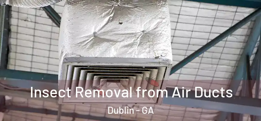 Insect Removal from Air Ducts Dublin - GA