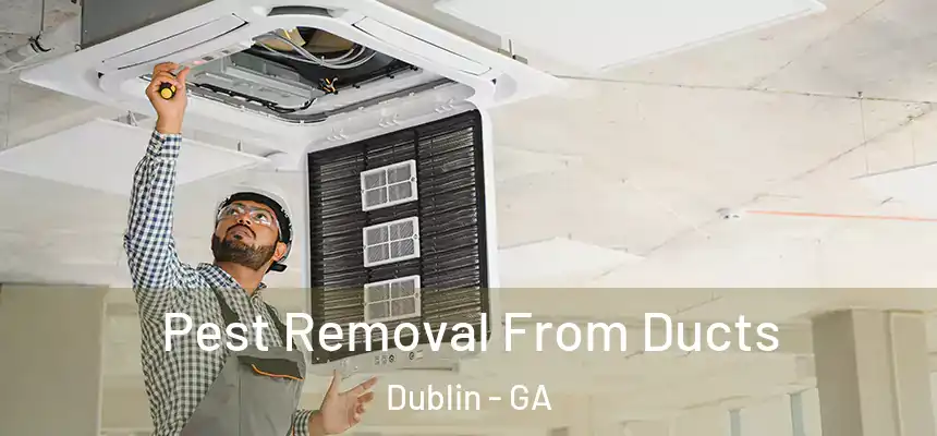 Pest Removal From Ducts Dublin - GA