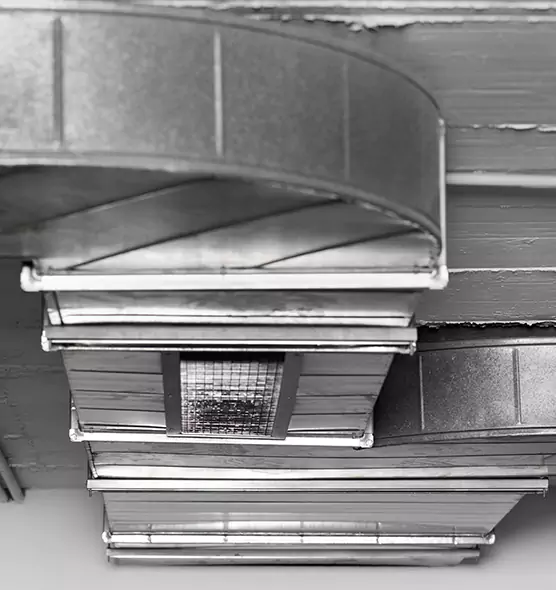 Professional Air Duct Pest Removal in Dublin, GA