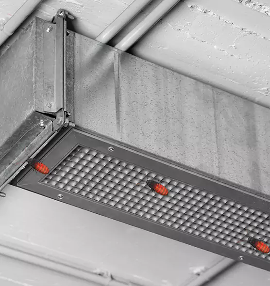 Affordable Insect Removal from Air Ducts in Dublin, GA