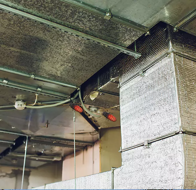 Why Homeowners & Businesses Trust Us in Dublin, GA?