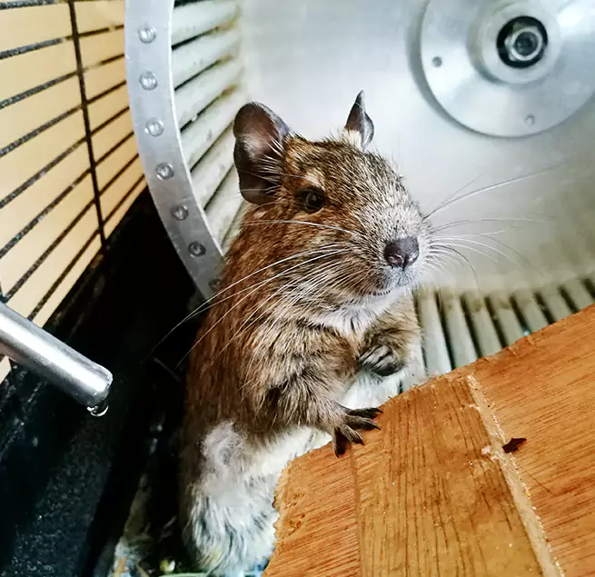 Why Homeowners & Businesses Trust Us Dublin, GA?