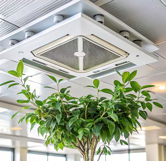 Why Homeowners & Businesses Trust Us in Dublin, GA?