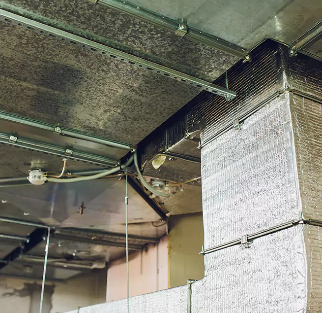 Why Homeowners & Businesses Trust Us in Dublin, GA?